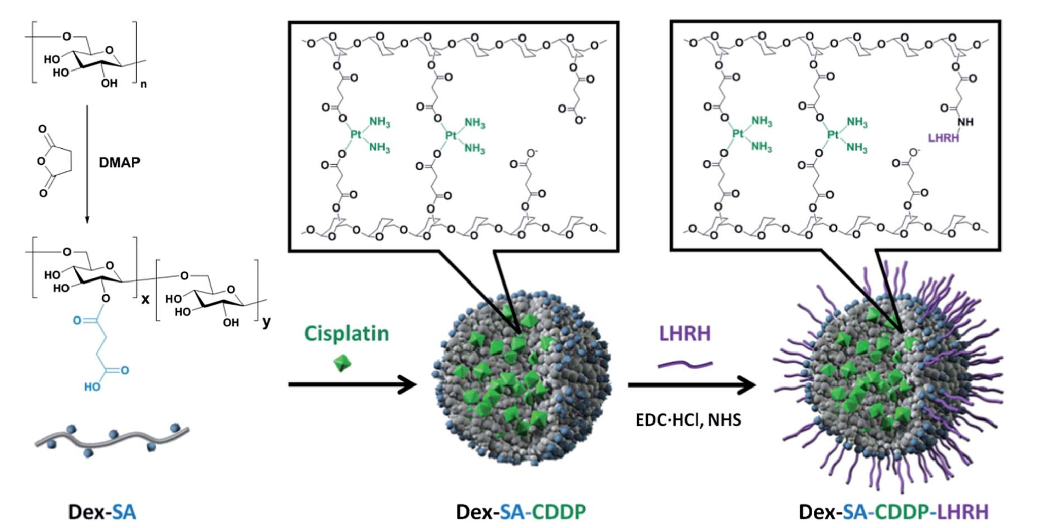 LHRH-peptide conjugated dextran nanoparticles for targeted delivery of cisplatin to breast cancer