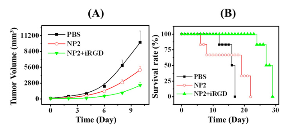 Co-administration of iRGD enhancing the anticancer efficacy of cisplatin-loaded polypeptide nanoparticles