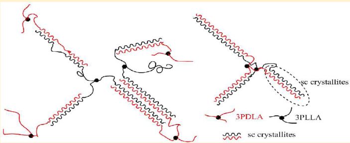Investigation of Poly(lactide) Stereocomplexes: 3‑Armed Poly(L‑lactide) Blended with Linear and 3‑Armed Enantiomers