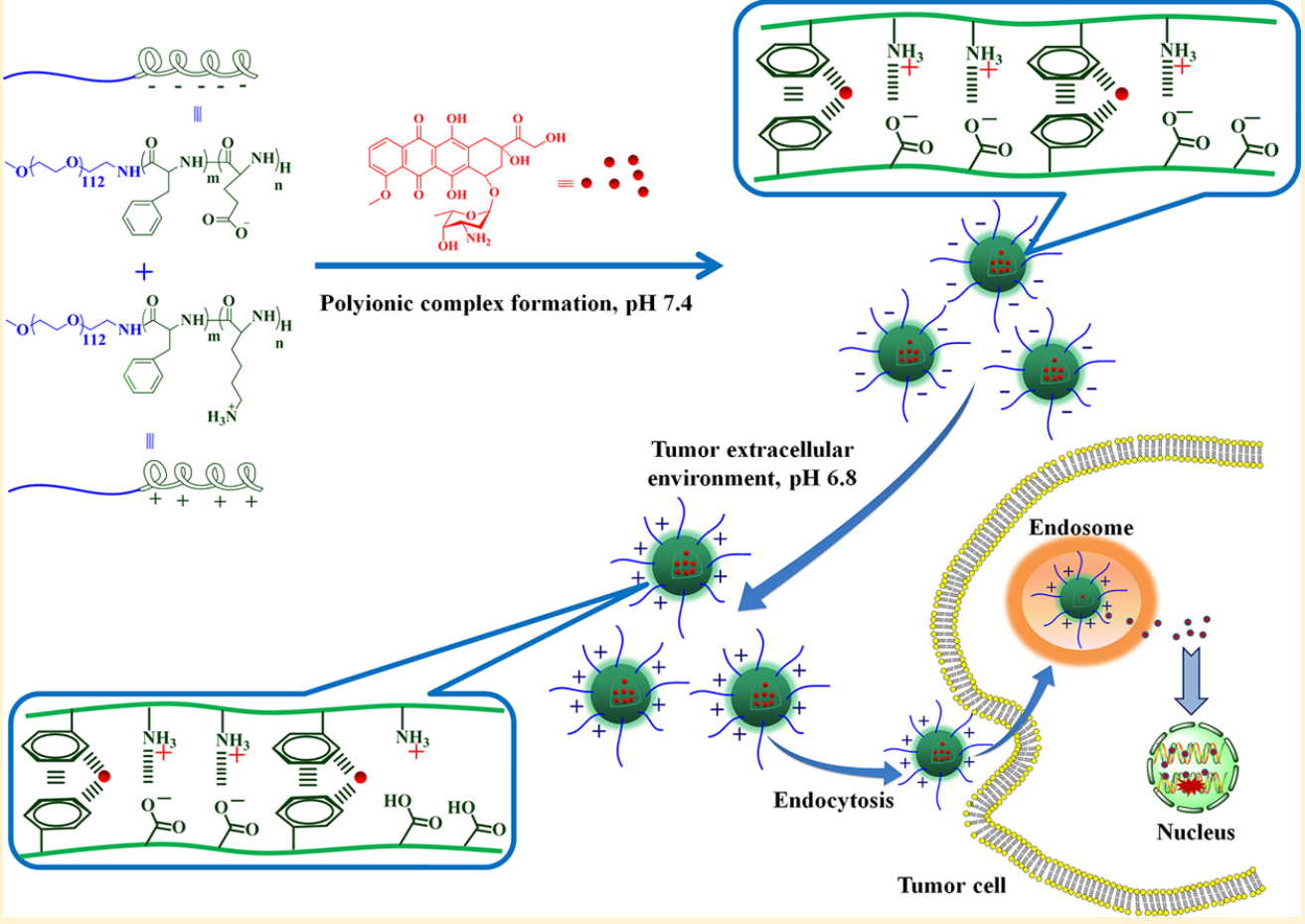 Charge-Conversional PEG-Polypeptide Polyionic Complex Nanoparticles from Simple Blending of a Pair of Oppositely Charged Block Copolymers as an Intelligent Vehicle for Efficient Antitumor Drug Delivery