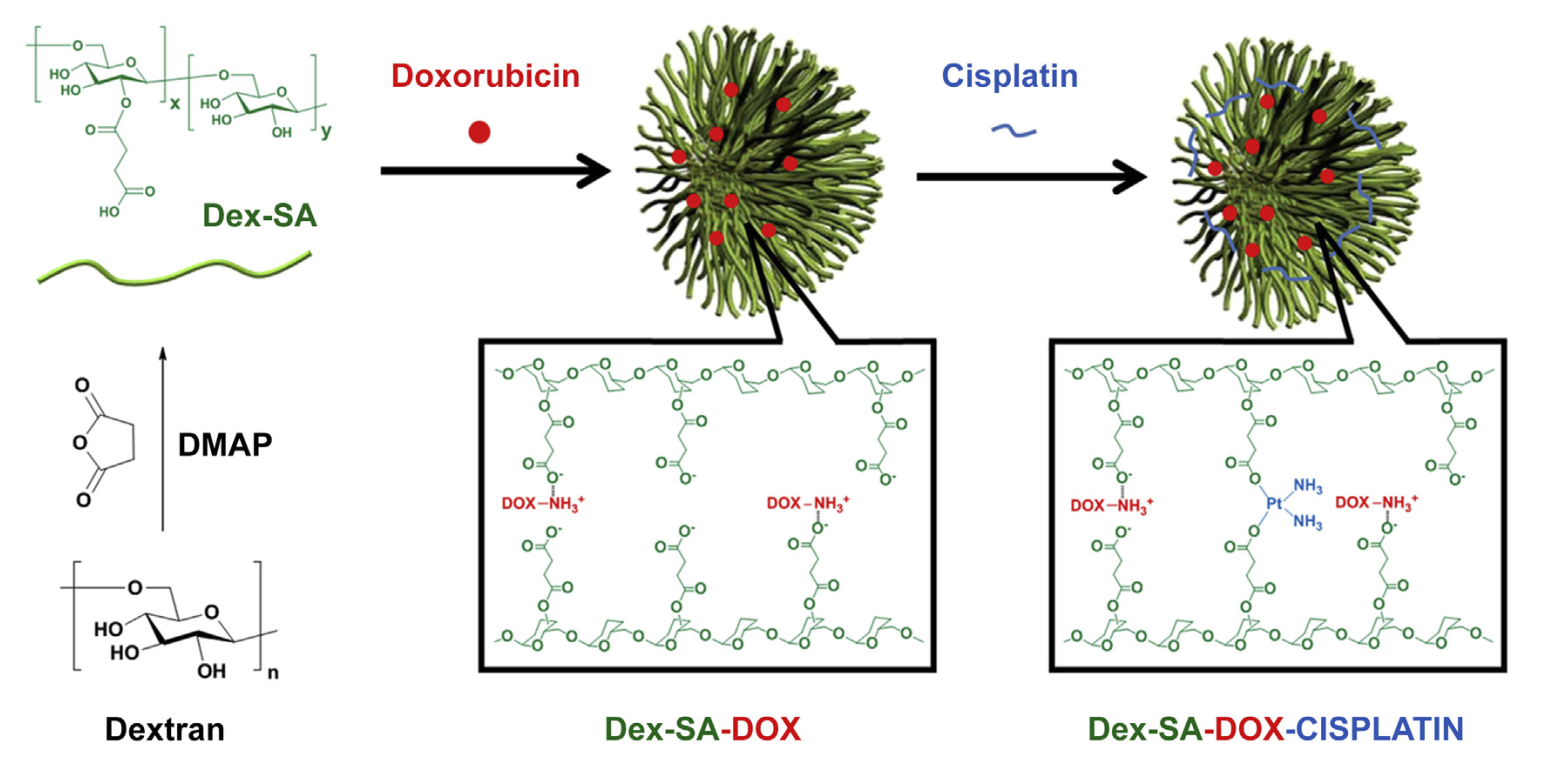Cisplatin crosslinked pH-sensitive nanoparticles for efficient delivery of doxorubicin