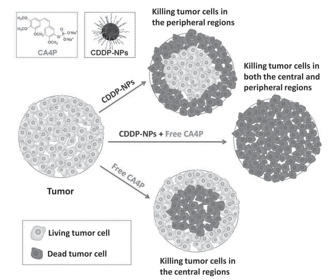Coadministration of Vascular Disrupting Agents and Nanomedicines to Eradicate Tumors from Peripheral and Central Regions