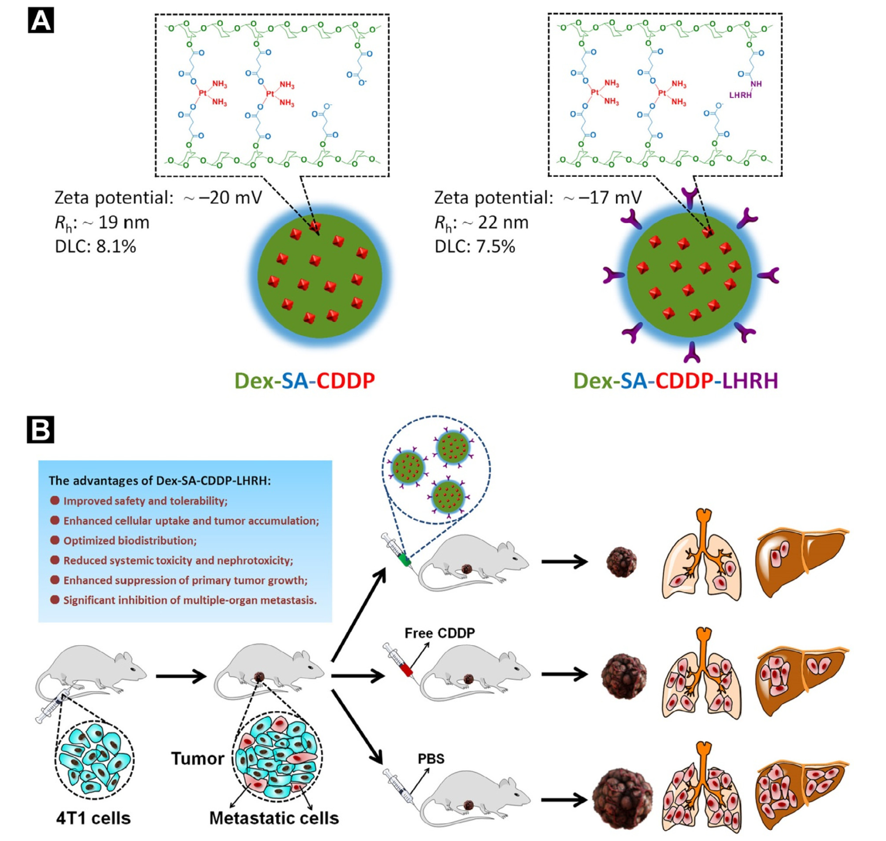 Targeted delivery of cisplatin by LHRH-peptide conjugated dextran nanoparticles suppresses breast cancer growth and metastasis