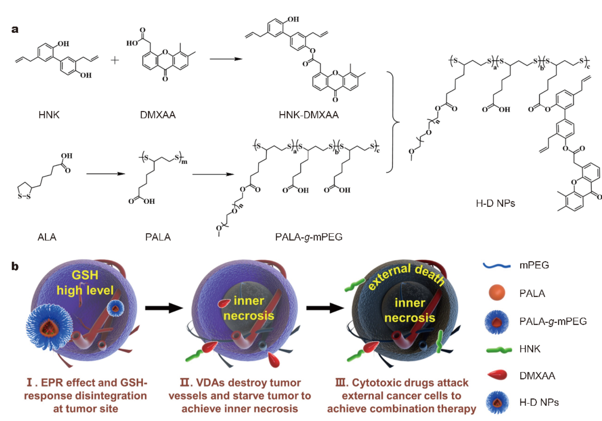 A novel GSH responsive poly(alpha-lipoic acid) nanocarrier bonding with the honokiol-DMXAA conjugate for combination therapy