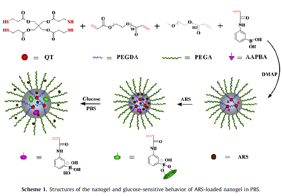 Facile One-Pot Synthesis of Glucose-Sensitive Nanogel Via Thiol-Ene Click Chemistry for Self-Regulated Drug Delivery.