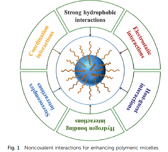 Noncovalent Interaction-Assisted Polymeric Micelles for Controlled Drug Delivery.