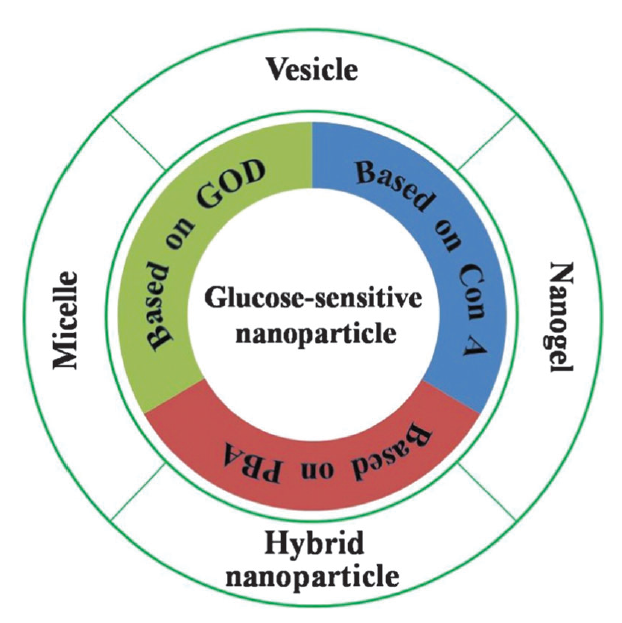 Glucose-Sensitive Polymer Nanoparticles for Self-Regulated Drug Delivery.