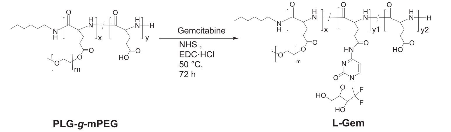 Poly (L-glutamic acid)-g-methoxy poly (ethylene glycol)-gemcitabine conjugate improves the anticancer efficacy of gemcitabine