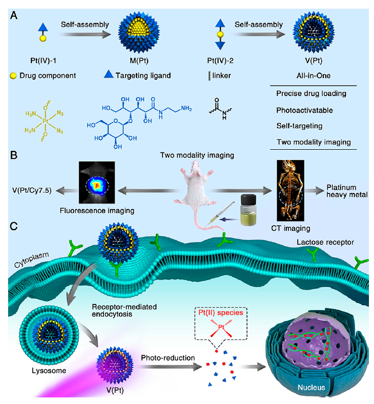 Tailoring Platinum(Iv) Amphiphiles for Self-Targeting All-in-One Assemblies as Precise Multimodal Theranostic Nanomedicine.