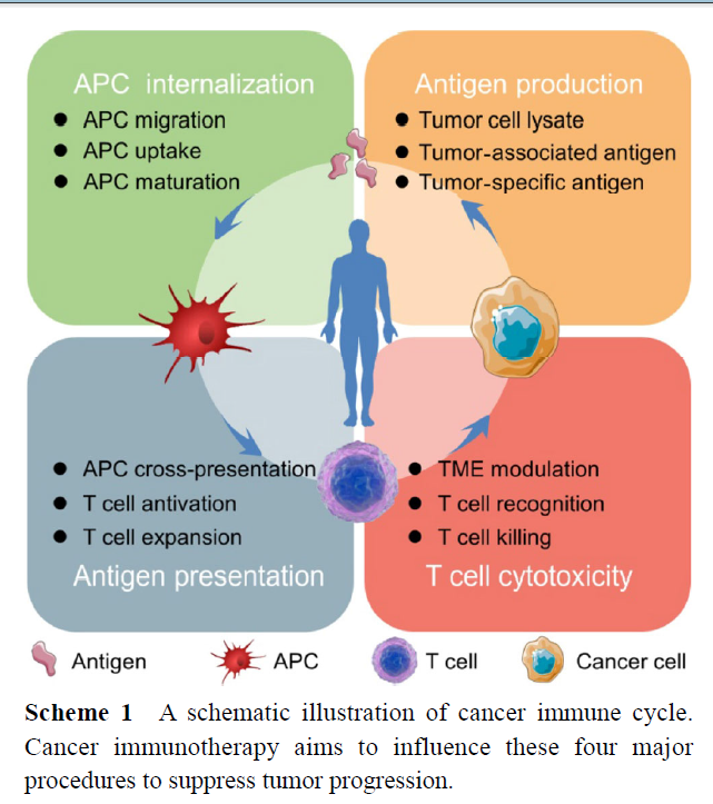 Polymer Nanoparticles as Adjuvants in Cancer Immunotherapy.
