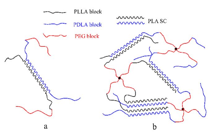 Effect of the different architectures and molecular weights on stereocomplex in enantiomeric polylactides-b-MPEG block copolymers