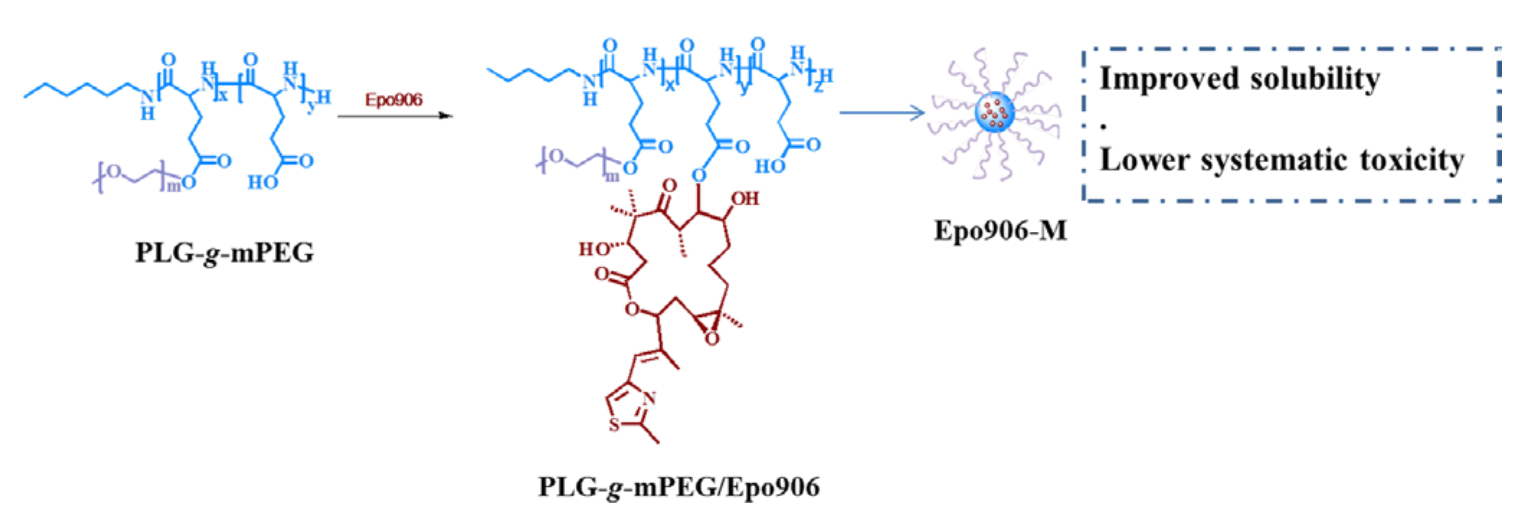 Patupilone-loaded poly(L-glutamic acid)-graft-methoxypoly(ethylene glycol) micelle for oncotherapy