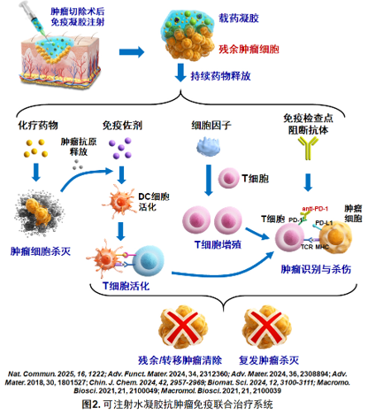 研究方向二：可注射水凝胶抗肿瘤药物缓释系统